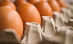 Hur mycket protein finns det i ett ägg