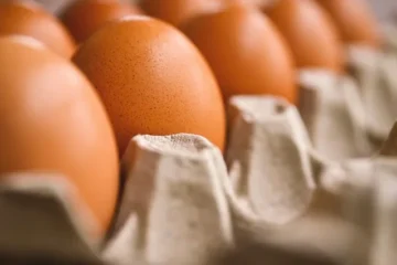 Hur mycket protein finns det i ett ägg