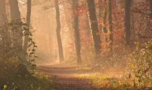 Fördelarna med att springa långsamt